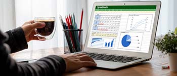 Gestión de la Información en Excel