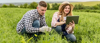 Diplomados virtuales gratis Agronegocios