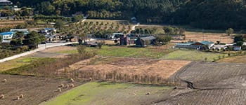 Diplomados virtuales gratis Extensión Rural