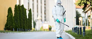 Diplomados virtuales gratis Fumigación
