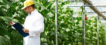 Diplomados virtuales gratis Gerencia de Empresas Agropecuarias