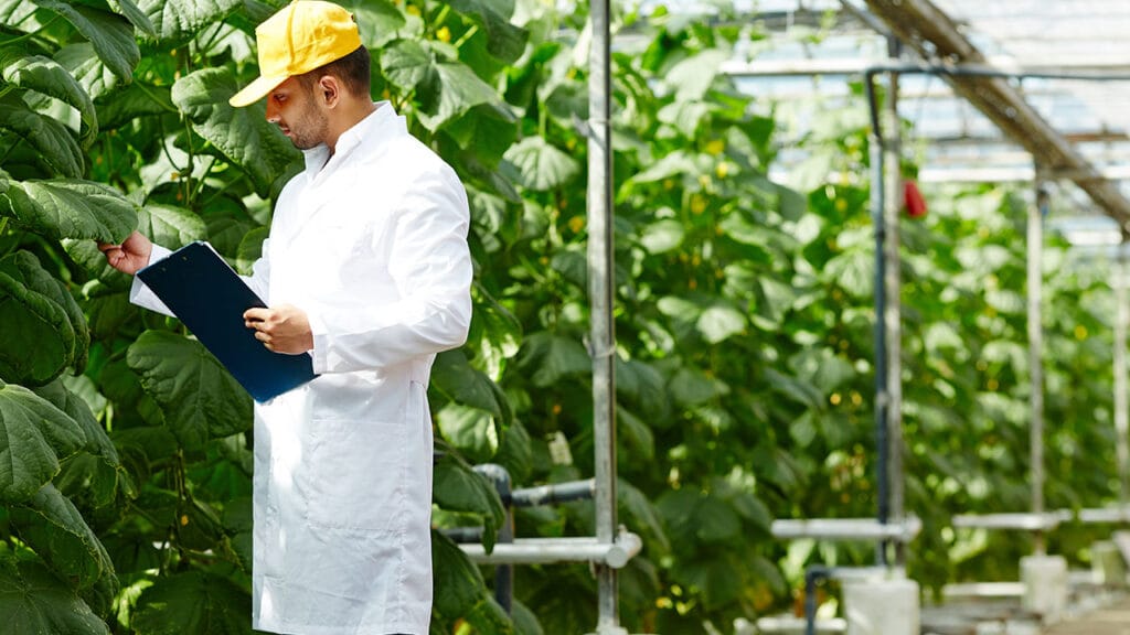 cursos online gratis gerencias empresas agropecuarias
