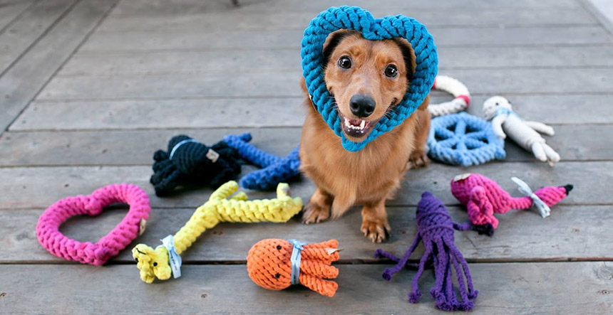 Juguetes para Mascotas mas Increibles