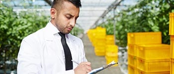 Diplomados virtuales gratis Gestión de la Inocuidad Alimentaria