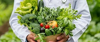 Diplomados virtuales gratis Sanidad Vegetal