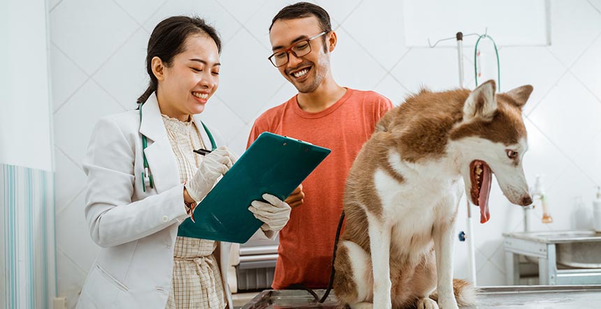 Auxiliar de veterinaria estudiar