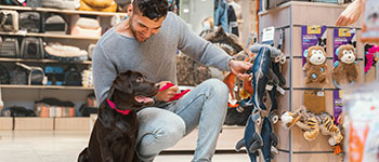 Cursos y Diplomados virtuales gratis Administración de Tiendas para Mascotas