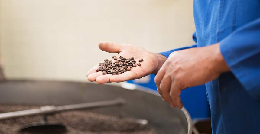 Laboratorios de Café Control Calidad Alimentos