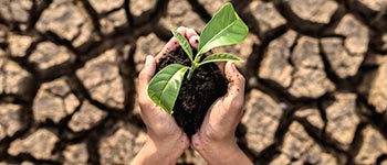 Currsos y diplomados virtuales gratis Adaptación al cambio climático y gestión del riesgo