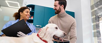 Cursos y diplomados virtuales gratis Gestión de negocios veterinarios y emprendimiento pet