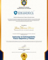 DIPLOMA POLISURA