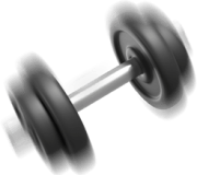 elementos del entrenador personal que estudia entrenamiento físico-deportivo y fitness